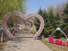 -莫子山公园