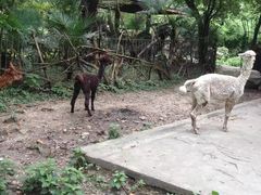 -荆州中山公园动物园