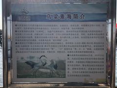 -乌梁素海景区
