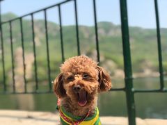 -大连冰峪旅游度假区