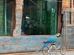 -南宫五洲植物乐园