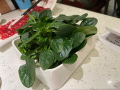-左庭右院鲜牛肉火锅(长泰广场店)