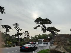 -罗红摄影艺术馆