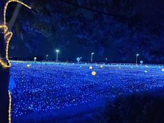 -西域欢乐城