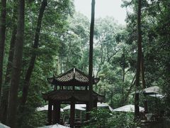 -都江堰普照寺