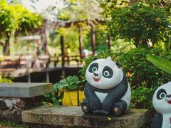 -海南热带野生动植物园
