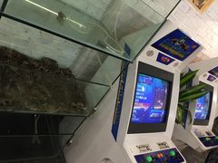-小辉哥大排档(船山路总店)