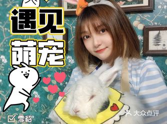 武汉最大的兔子️安哥拉兔随意玩