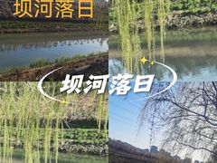 -坝河休闲公园