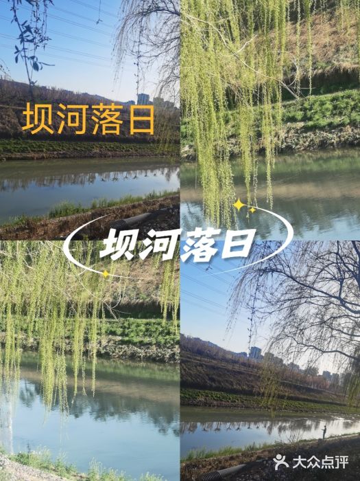 坝河休闲公园图片