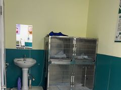 -乖乖宠物医院·猫科·急重症中心(车站北路分院)
