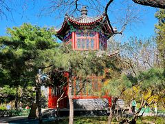 -宣武艺园