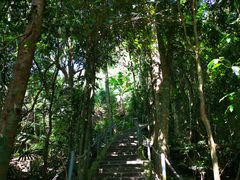 -七仙岭温泉国家森林公园