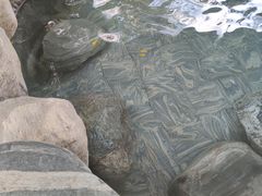 -英德宝晶宫天鹅湖茶语温泉