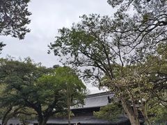 -普陀山风景名胜区-法雨禅寺