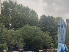 -鲁迅公园-垂钓中心