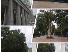 -堤角公园