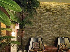 -泰迦·正宗泰式按摩SPA(东城店)
