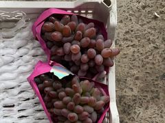 -马陆小张葡萄园农家乐