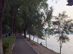 -长白岛森林公园