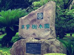 -汉拿树木园