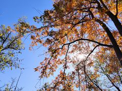 -北京西山国家森林公园