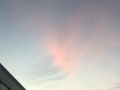 -松鹤楼(狮山永利广场店)