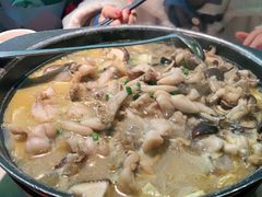-蛙小侠(五象万象汇店)