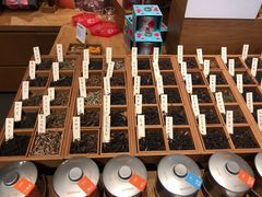 -tea'stone (万象天地店)