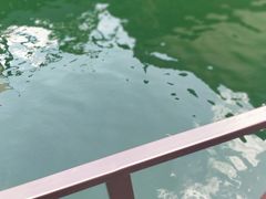 -水都餐厅