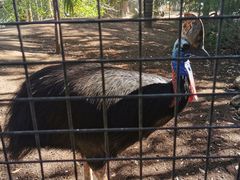 -费瑟代尔野生动物园