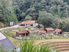 -龙岩森林水乡景区