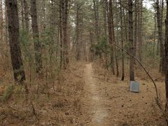 -帽儿山国家森林公园