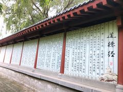-函谷关历史文化旅游区
