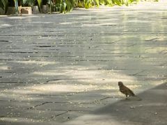 -柳侯公园