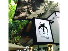 -TrueLove @ Neverland (Husky Cafe)