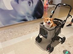 -东莞松山湖万象汇