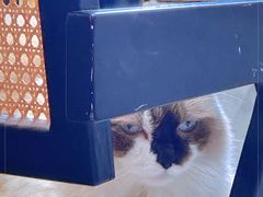 -seeu coffee(江滩店)