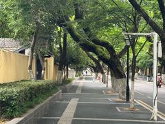 -颐和路民国时期公馆风貌区