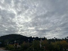 -帽儿山国家森林公园