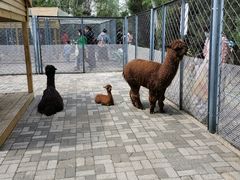 -长白岛森林公园