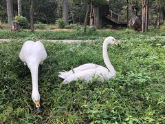 -石家庄市动物园