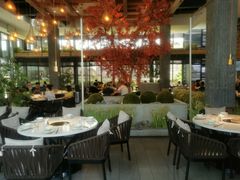 露天位-拈菜(观音桥阳光世纪店)