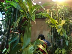 大堂-万记麻辣烫国展总店