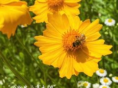 -新世界百货(明洞总店)