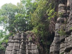 -梭布垭石林景区