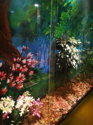 -北京科学中心儿童乐园