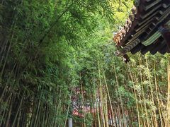 -潭柘寺景区
