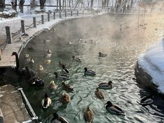 -水磨沟公园