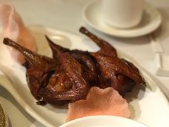 乳鸽-潮福城大酒楼·潮味粤品·港式点心(湖滨北路店)